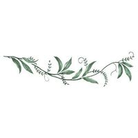 This stencil consists of 2 layers with the following dimensions: 21.5" W x 5.7" H. A willow leaf vine to use where you do not want a flower border but attractive leaves and vine. Color: Off-White.