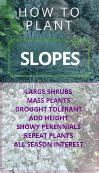 Landscaping Steep Slopes | Hillside Landscapes | Sloped backyard, Sloped backyard landscaping, Landscaping on a hill