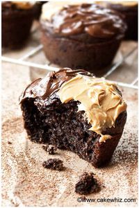 Sugar Free Chocolate Cupcakes Recipe - Best Crafts and Recipes