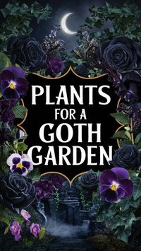 Embrace the mystery and drama with a hauntingly beautiful selection of plants perfect for your goth garden.  Discover deep, velvety blooms, dramatic foliage, and eerie textures that channel the Victorian gothic vibe. backyard landscaping ideas front yard landscaping ideas plants flowers Gothic Garden  #gothgarden #darkflowers #spookyvibes