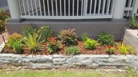 Hot colors in this sunny planter bed in Midtown Atlanta. Fire Chief Arborvitae, Electric Ave Coreopsis, Obsession Nandina, Red Hot Poker, Creeping Gardenia, Sombrero Lemon Yellow Coneflower, Autumn Joy Sedum, Color Guard Yucca, Mexican Blanket Flower, Whirling Butterflies, Lemon Lime Nandina, red Salsa Coneflower, Carex Everillo. #HeatherDesignsGardens