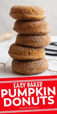 Baked Pumpkin Donuts