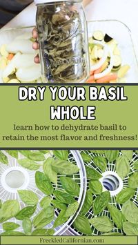 Today I’m sharing how to dry basil to preserve the most freshness and flavor. I only need about one mason jar per year to keep us going until we can grow fresh basil again, so I usually fill the dehydrator up completely and make that mason jar for the pantry. If I have a lot of extra basil, I’ll dehydrate even more for holiday gifts. Get more tips for preserving and growing homegrown herbs!