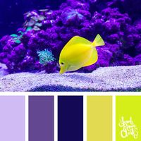 High contrast yellow and purple color palette | 25 color palettes inspired by the PANTONE color trend predictions for Spring 2018 - Use these color schemes as inspiration for your next colorful project! Check out more color schemes at www.sarahrenaeclark.com #color #colorpalette