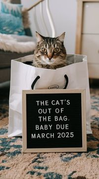 Pregnancy Announcement With Cats (15 Cat Themed Baby Announcements)