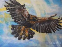 Aquila chrysaetos by Milarcha on DeviantArt