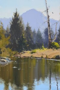 Australian landscape paintings by John Wilson.