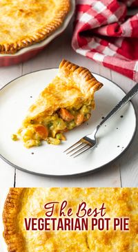 Best Vegetarian Pot Pie Recipe - This pot pie is loaded with hearty vegetables for a comforting and delicious dish that happens to be vegetarian-friendly. Our easy veggie pot pie recipe can even be made vegan and gluten-free! #veganrecipes #vegetarianrecipes #vegetarianpotpie #veganpotpie #veggiepotpie #vegandinner #vegetariandinner #aspicyperspective