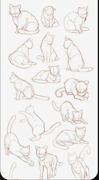 cat drawing simple, pencil drawing, cat drawing face, cat drawing reference, cats drawing reference, cat images, cat pictures, cat drawing tutorial, cat drawing ideas, cute cat, cat drawings simple, cat hand drawing, cat drawing realistic, cat eye drawing, cat drawing sketches, drawing cat