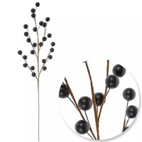 Matte Black Berry Spray | Hobby Lobby | 5360870