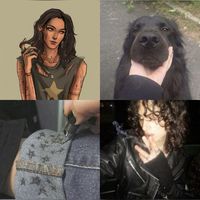 Sirius black collage aesthetic style marauders era harry potter gryffindor