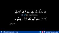 جو زندگی بچی ہے اسے مَت گنوائیے بہتر یہی ہے آپ مجھے بھول جائیے #john_elia #zikarinsanka #urdu_poetry_sms #poetry #urdu