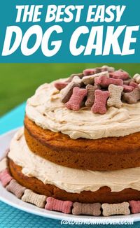 Spoiled Dog Cake Recipe • Love From The Oven