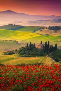 Europe in Bloom: Best Villas for a Luxury Spring Escape. #tuscany #countryside #luxuryvilla #luxurytravel #luxuryholiday #luxuryvacation #springtime