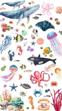 Here I created a design shuffle for watercolor sea creatures illustration drawing concept 🥰🥰 #seacreatures #sea #illustration #shuffle #shuffleboard Follow me for more creative stuff 🥰🌞🌈🍓