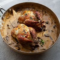 How To Cook Roast Partridge & Wild Mushroom Sauce