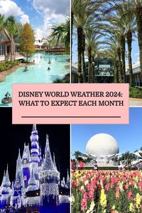 Learn what to expect from Disney world weather on your vacation! Average temperatures, rainy days, and what to pack for each month of the year in Orlando.