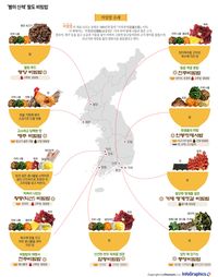 infographics 입맛 '확' 당기는 '팔도 비빔밥'