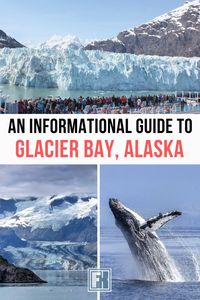 Discover the breathtaking experience of cruising in Glacier Bay National Park, Alaska. Explore stunning glaciers, diverse wildlife, and pristine landscapes. Get tips on what to wear and where to get the best views.