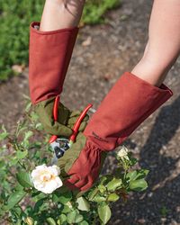 Rose Gloves