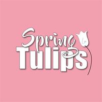 pink tulips