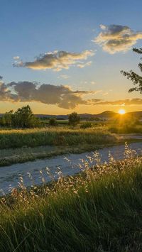 #sunset #sunrise #grass #nature