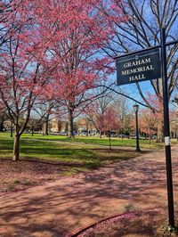 UNC, unc chapel hill, unc chapel hill aesthetic, college life, college aesthetic, unc chapel hill campus