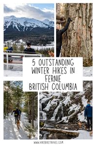 outstanding winter hikes in Fernie, BC