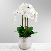 Tall faux orchid arrangement in vase to elevate your interior design; flaunting 4 white orchids in a classy silver vase. Perfect faux orchid arrangement for a formal entryway or living room. This is a 360 arrangement and can be used as a centerpiece or can be placed as a beautiful accent piece in any room. #luxuryhomedecor #fauxorchidarrangement #floralcenterpiece #interiordesign #silkflowerarrangement