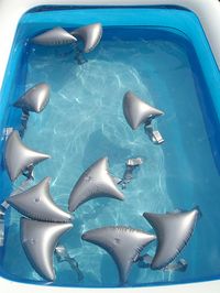 shark pool party - love these for a pool party