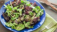 45 Summer Salad Recipes | Summer Salad Ideas - Food.com