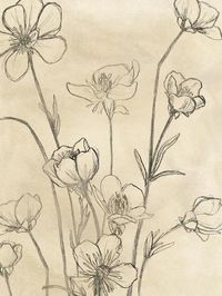 size: 12x9in Art Print: Vintage Wildflowers II by June Vess :