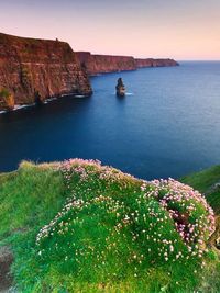 Cliffs of Moher, Ireland