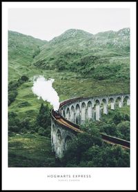 Hogwarts Express Poster