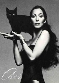 Cher digital poster print