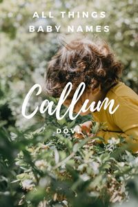 Uncover the meaning and origin of the baby name: Callum. Discover the charm of individuality with our curated lists of cute baby names! Ideal for parents looking for a name as special as their little one.