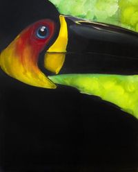 Learn to paint a The Bold Toucan