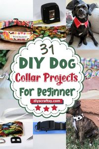 These DIY pet collars are one of your first opportunities to show off your dog’s personality, with various colors, styles, and materials from which to choose. #diy #diycraft #diydog #diydogcollar #diydogcollarideas