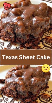 Dive into a rich chocolate experience with this Texas Sheet CakeA moist and fluffy chocolate cake topped with a decadent chocolate frosting and a sprinkle of chopped pecans.