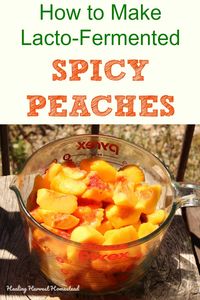 Fermented Cinnamon Peaches, Spicy, Easy, and Delicious! (How to Ferment Peaches with this Recipe) — Home Healing Harvest Homestead