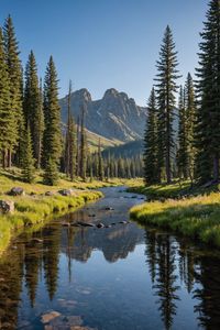 Idaho is a wild and untamed wilderness, perfect for adventurous outdoor enthusiasts seeking 🥾 hiking, 🏕️ camping, 🎣 fishing, 🚲 mountain biking, and whitewater rafting, with the Frank Church River of No Return Wilderness Area and the Great Burn offering vast, unspoiled landscapes that must be protected for future generations to enjoy.