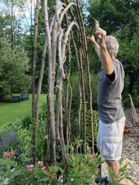 How to Build a Rustic Trellis - Ellen Ecker Ogden