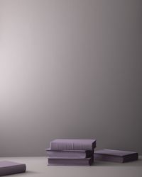 Evening Skyline CSP-505 | Benjamin Moore