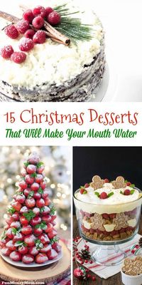 Looking for a delicious dessert recipe for your holiday dinner? You may have a hard time narrowing it down after you see these mouthwatering Christmas desserts!