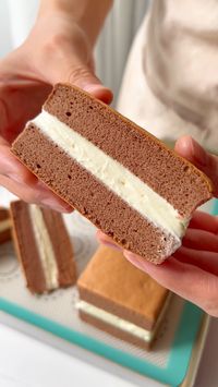 Chocolate Cake Sandwich