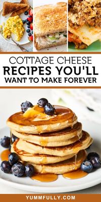 23 Cottage Cheese Recipes You'll Want to Make Forever