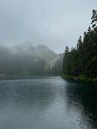 #pnw #washington #hike #hiking #nature #naturelovers #photography #lake #mountains #foggy #moody #dark