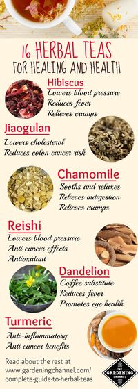 Herbal teas for healing and health