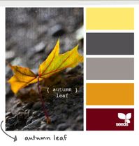 October Wedding colors???? | Weddings, Planning | Wedding Forums | WeddingWire