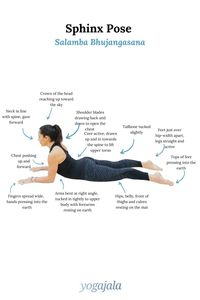 How to do Sphinx Pose (Salamba Bhujangasana)